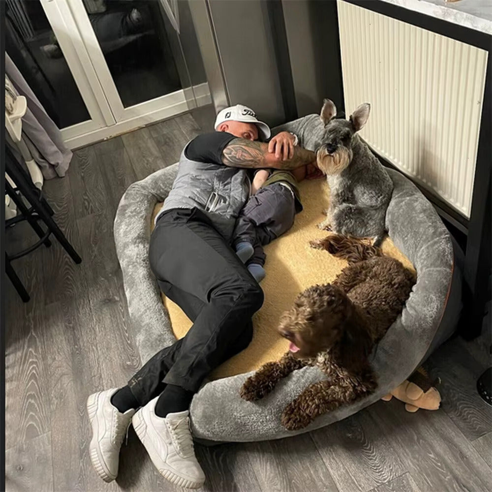 Memory Foam Jumbo Dog Bed With Removable Cover
